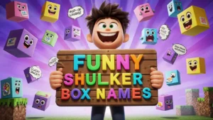 funny shulker box names