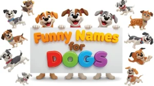 funny names for dogs
