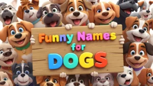 funny names for dogs